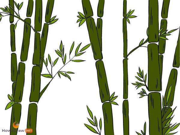 Бамбук нарисованный