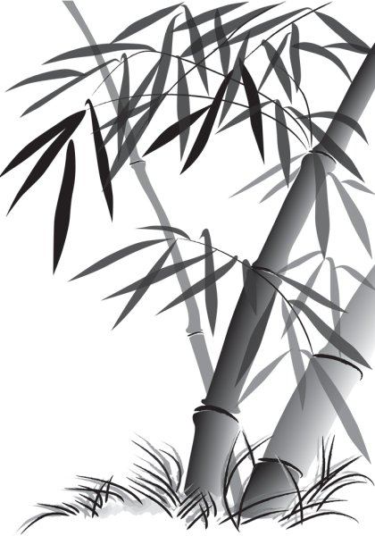 Бамбук рисунок карандашом
