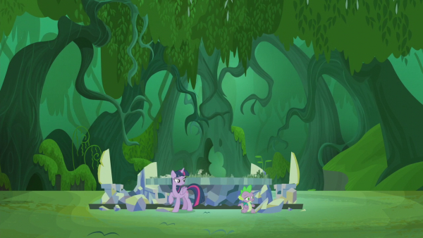 Вечнозеленый лес МЛП