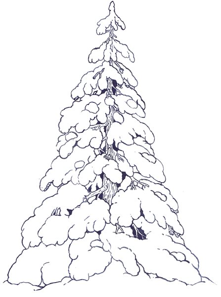 Зимнее дерево раскраска