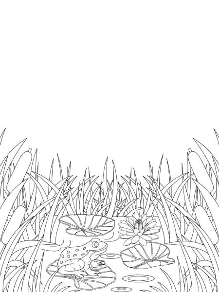 Болото раскраска