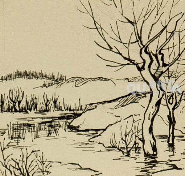 Болото в графике