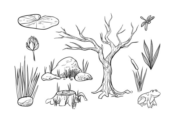 Болото в графике