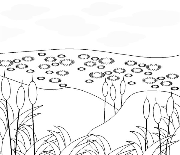 Пруд раскраска