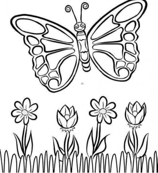 Бабочка на цветочке раскраска