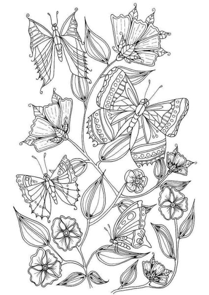 Раскраска антистресс цветы и бабочки