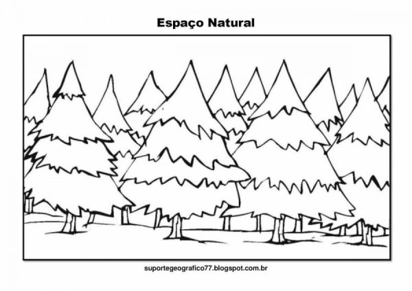 Еловый лес раскраска