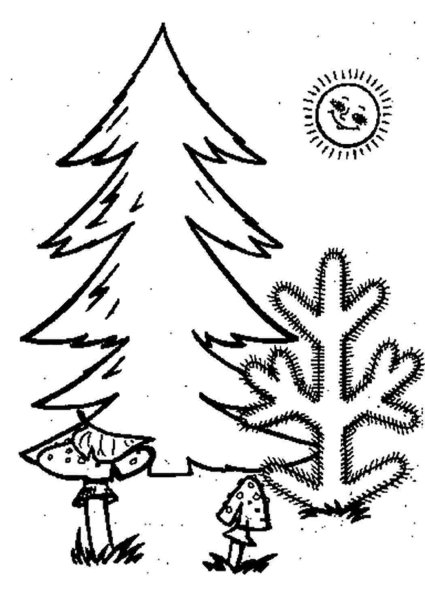 Раскраска Лесная елка