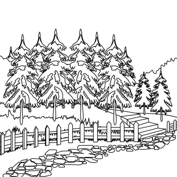 Хвойный лес раскраска