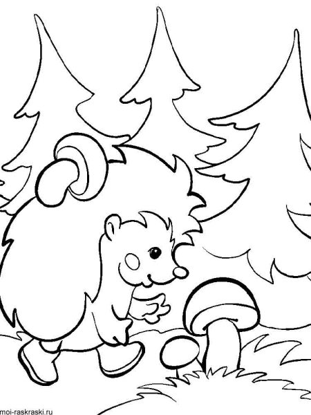 Лес раскраска для детей