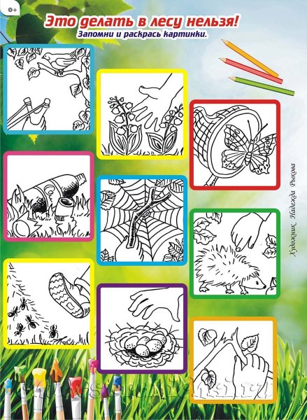 Правила поведения в лесу