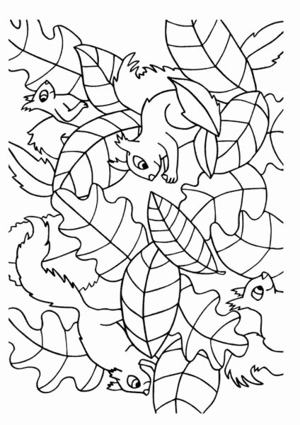 Осенние раскраски с заданиями