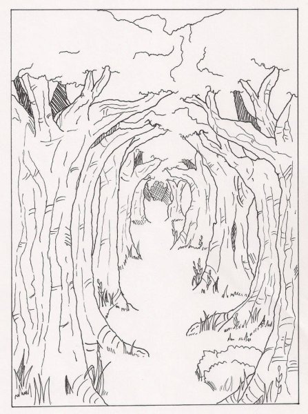 Лес карандашом для детей