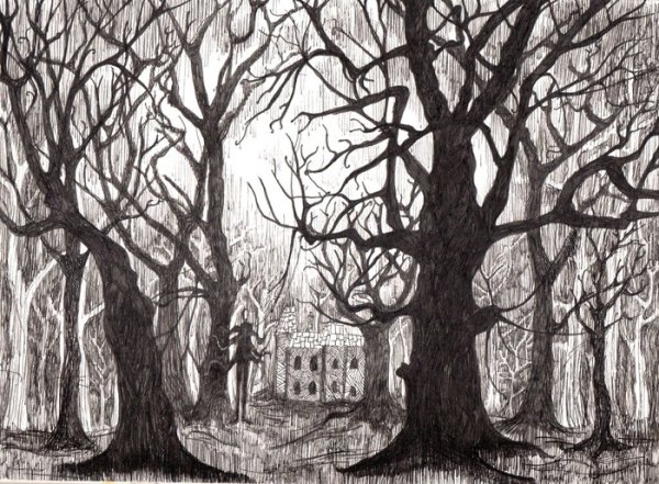 Мрачный лес карандашом