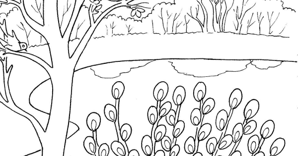 Весенний лес раскраска для детей