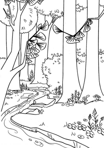 Раскраска леса
