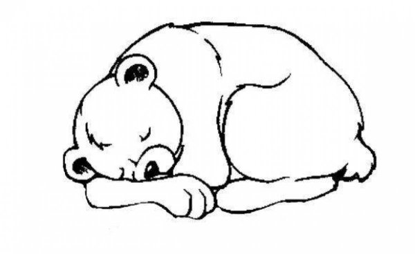 Медведь спит раскраска