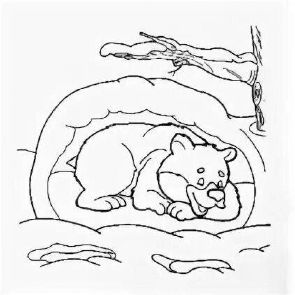 Мишка в берлоге раскраска