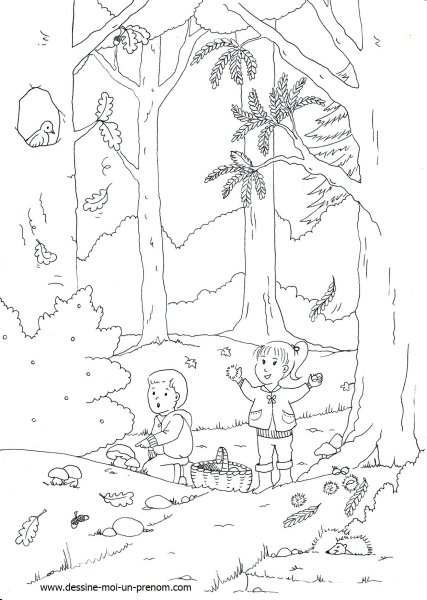 Осенний лес раскраска для детей