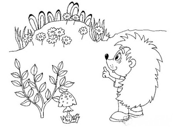 Лесная Полянка раскраска