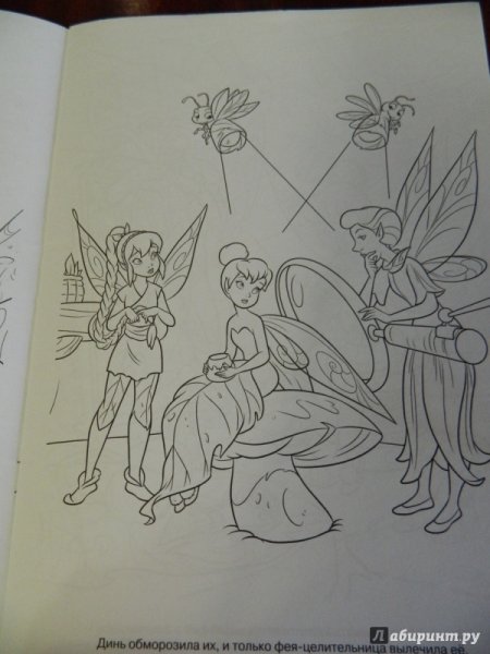 Тайна зимнего леса раскраска