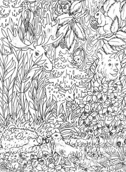 Спрятанные животные