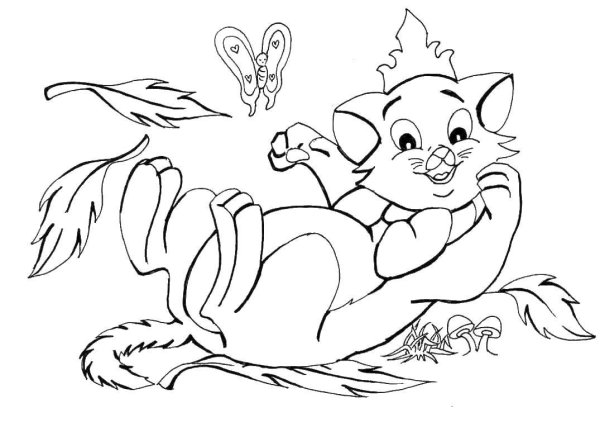 Раскраска. Котики