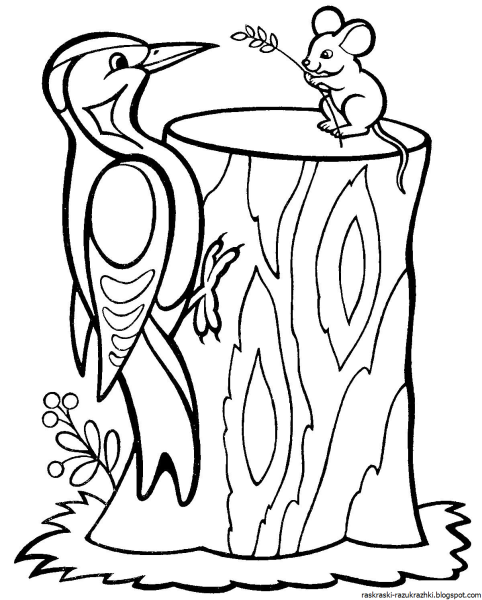 Раскраска Сладков дятел