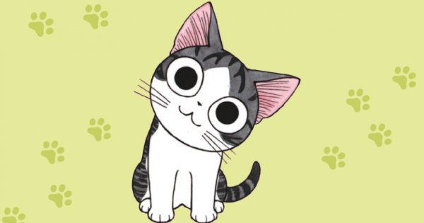 Аниме котик Чии