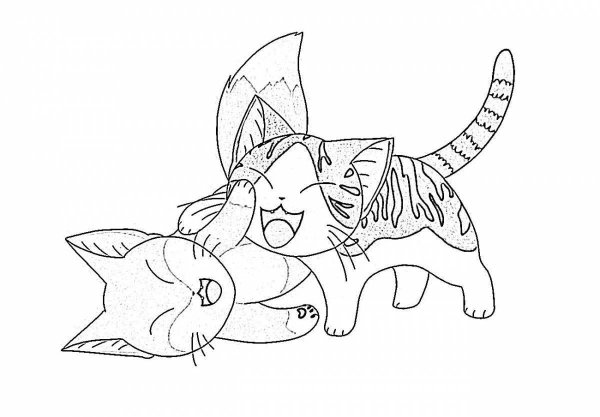 Раскраски аниме кошки