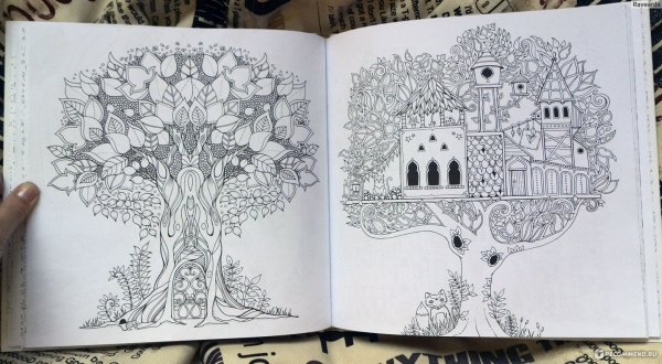 Заколдованный лес Джоанна Басфорд