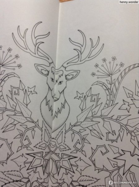 Заколдованный лес Джоанна Басфорд