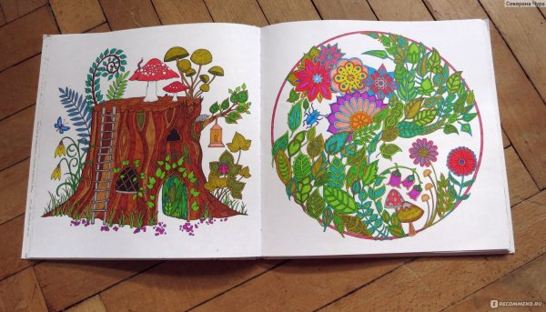 Зачарованный лес настоящий