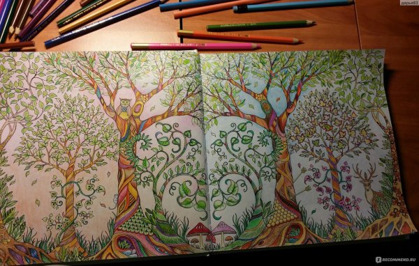 Джоанна Басфорд Зачарованный лес дракон