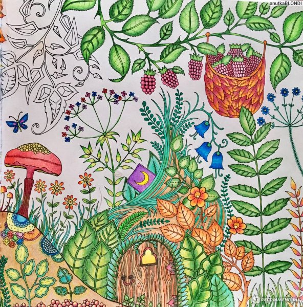 Джоанна Басфорд Зачарованный лес