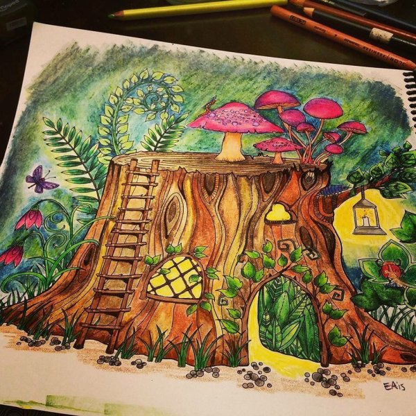 Зачарованный лес раскрашенный