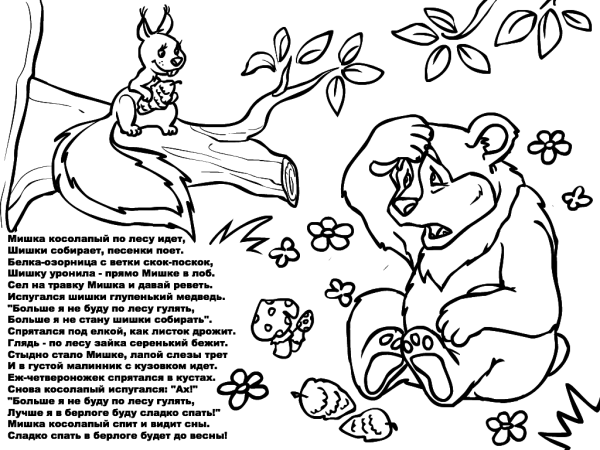 Раскраска мишка косолапый для детей