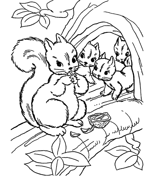 Раскраска белка с бельчатами лесу
