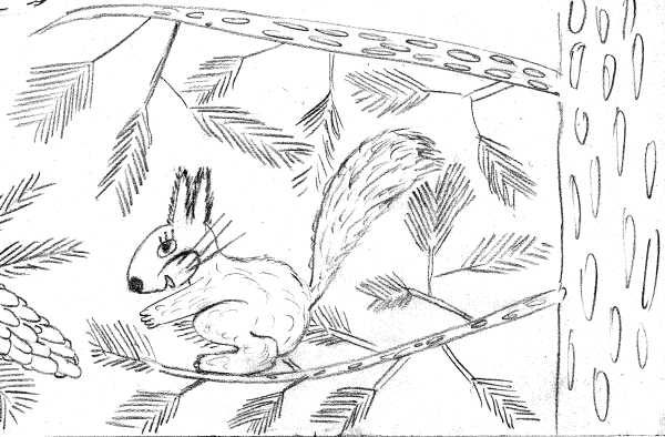 Белка на сосне раскраска для детей