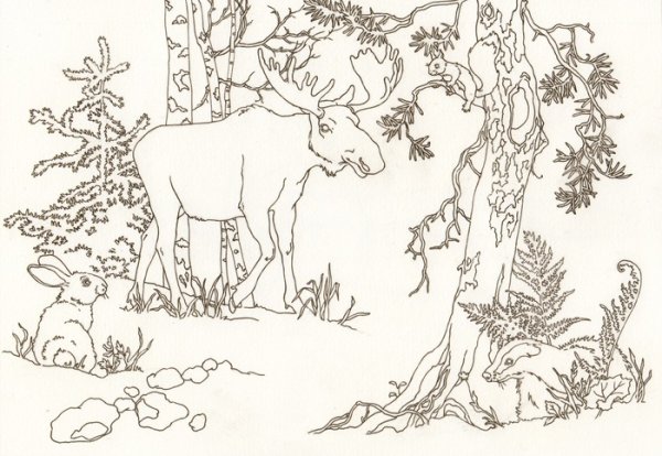 Раскраска Лось в лесу