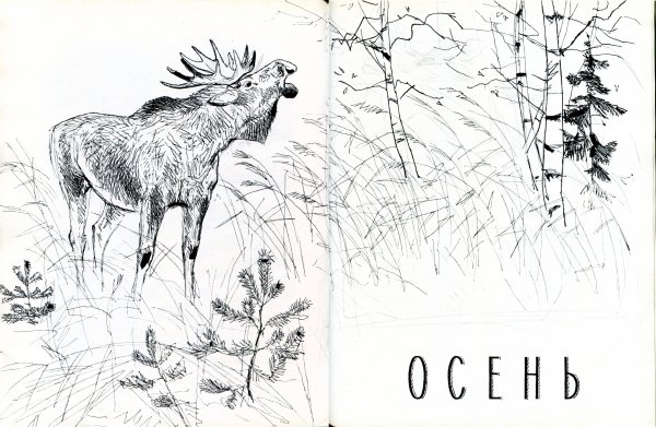 Русский лес Соколов-Микитов Лось иллюстрацию