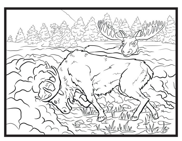 Раскраска Лось в лесу