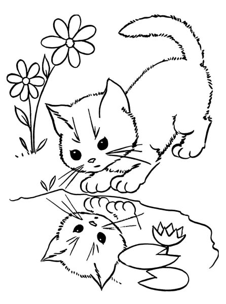 Раскраска. Котики