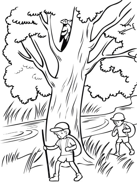 Раскраска поход