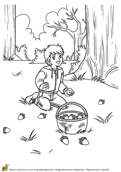 Раскраска сбор грибов