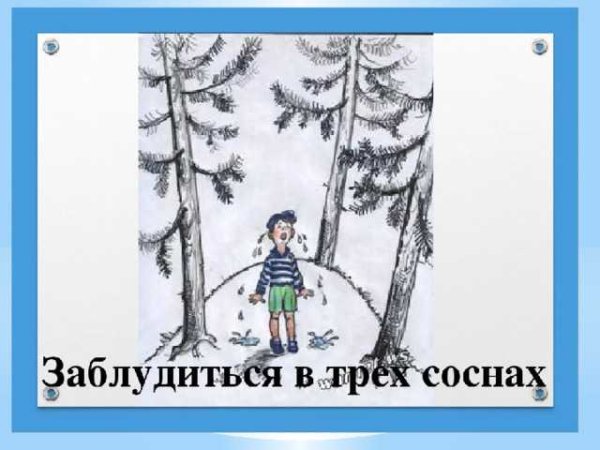 Потеряться в трех соснах