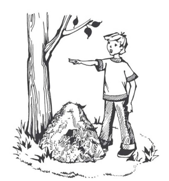 Раскраска не разоряйте муравейники