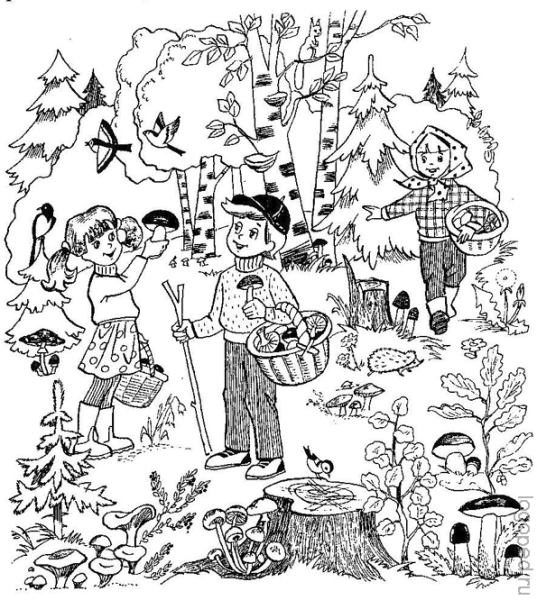 Сюжетные картинки раскраски