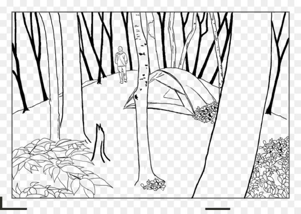 Рисунок смешанного леса карандашом