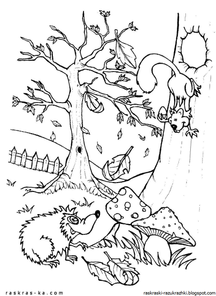 Раскраска осенний лес